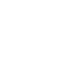 partner-icon